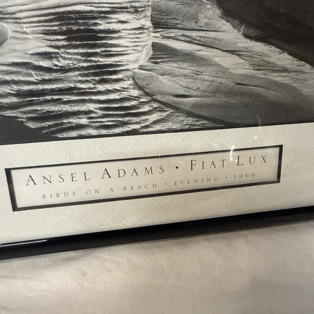 Ansel Adams Birds on a Beach Evening Framed Framed 1966 Photo 12x14 Wall Art VTG - Picture 2 of 15